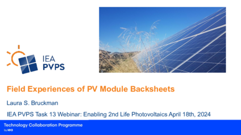 Laura Bruckman_Field Experiences of PV module backsheets